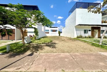 LOTE TAMARAN 23